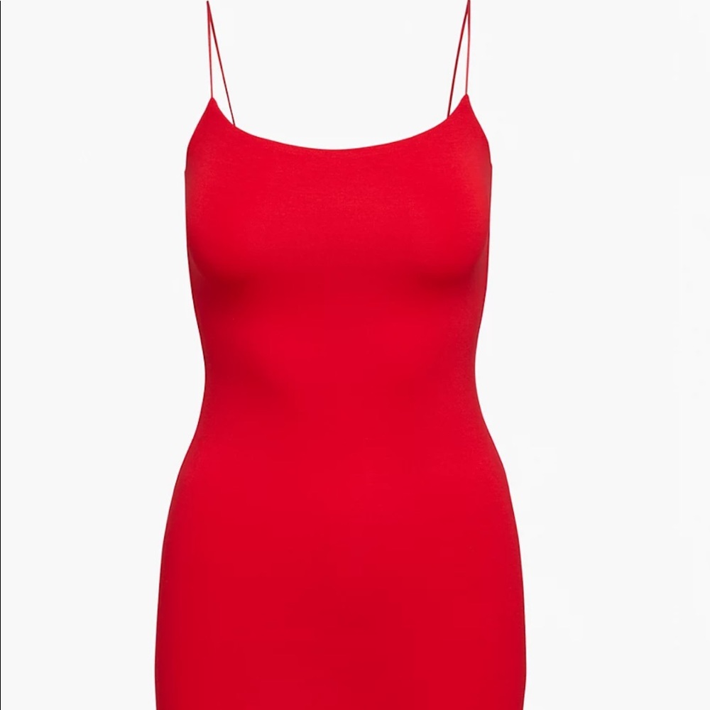 Aritzia Wilfred free tiny dress